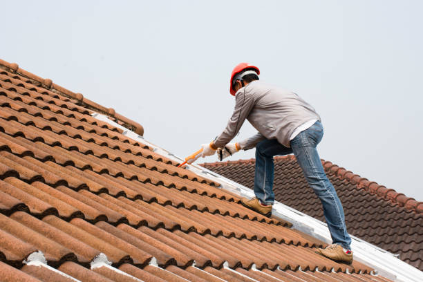Best Asphalt Shingles Roofing  in Nebo, NC