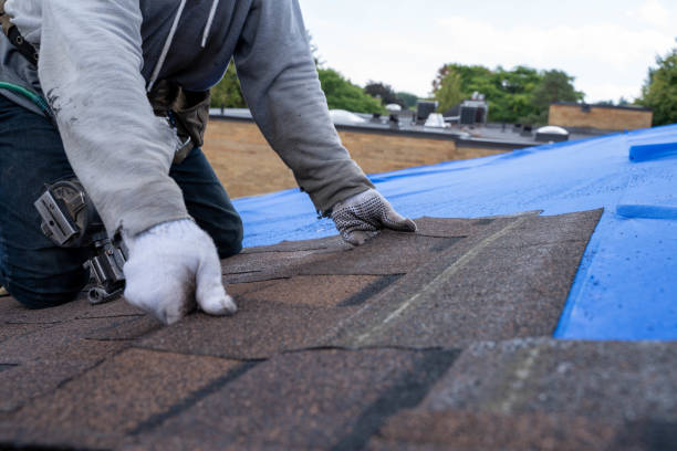 Best Roof Coating and Sealing  in Nebo, NC