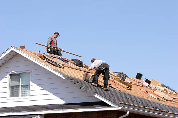 Best Roof Restoration  in Nebo, NC
